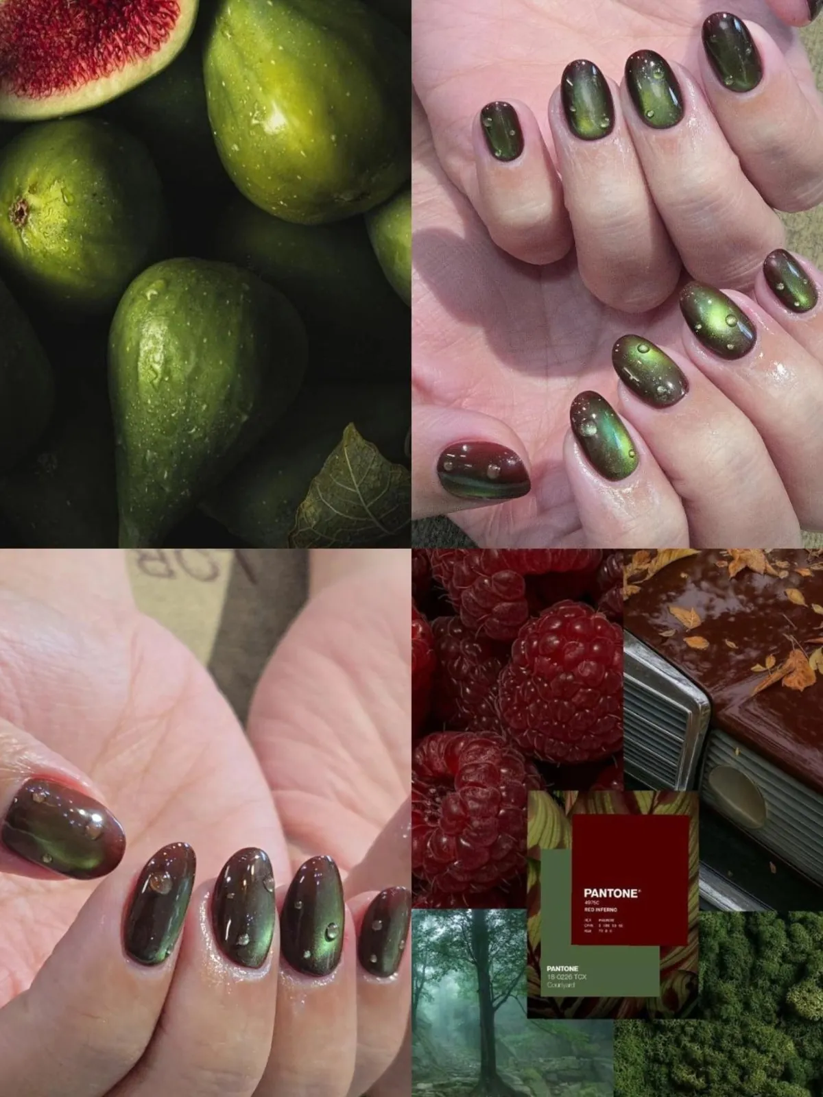 Mẫu nail xanh olive phối burgundy ánh kim xu hướng thu đông - NAIL BY THẢO Tân Phú & Tân Bình